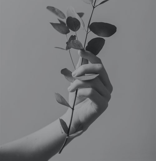 work-image