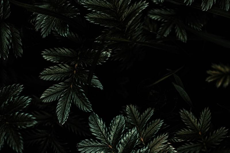 Task Image
